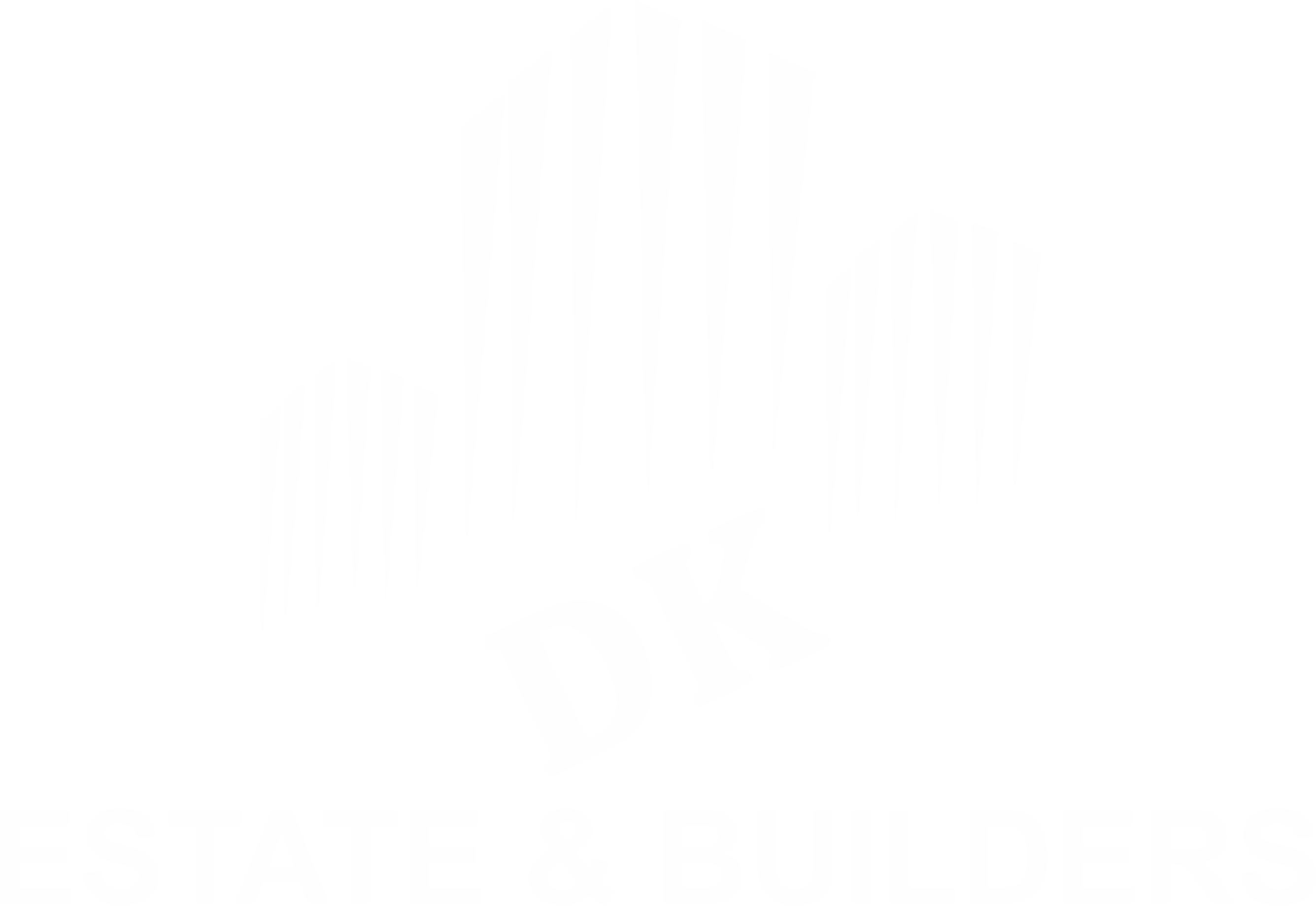 DK Estate & Builders